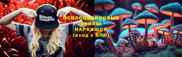 прущая мука Абаза